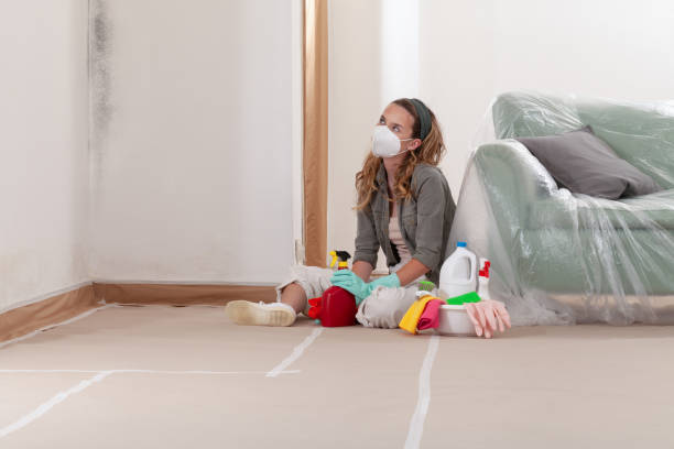 Reliable Mold Remediation contractor in Apex, NC by WQB Mold Removal